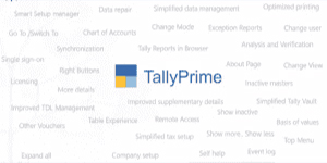 Tally Prime Course